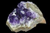 Dark Purple Amethyst Cluster - Top Quality Color #90163-1